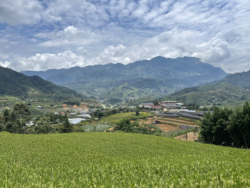 Photo from customer review