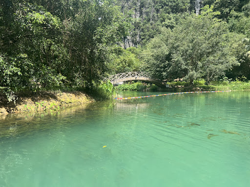 Photo from customer review