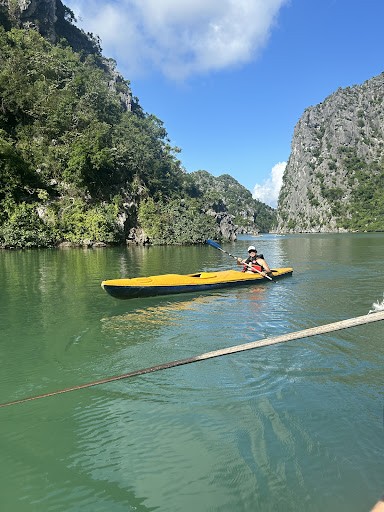 Photo from customer review