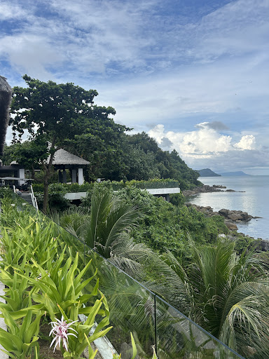 Photo from customer review