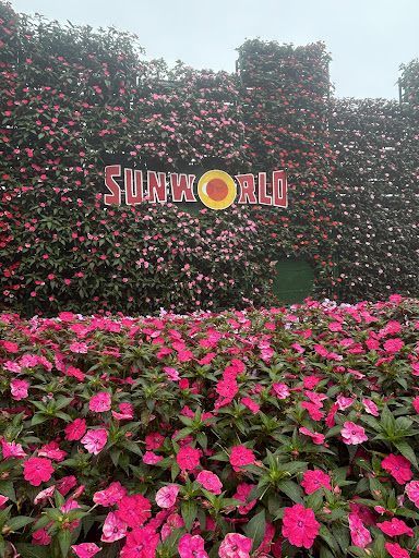 Photo from customer review