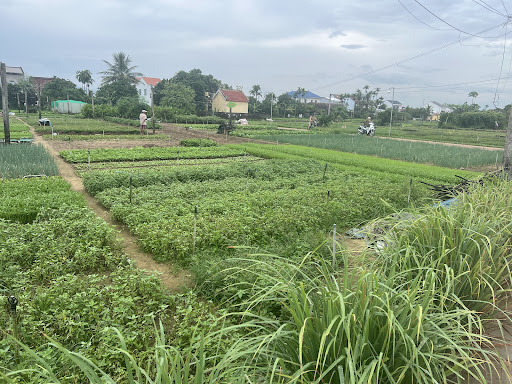 Photo from customer review