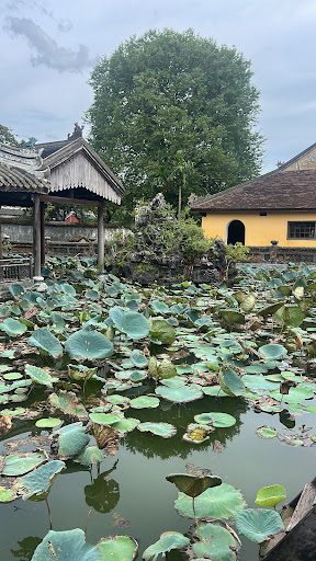 Photo from customer review