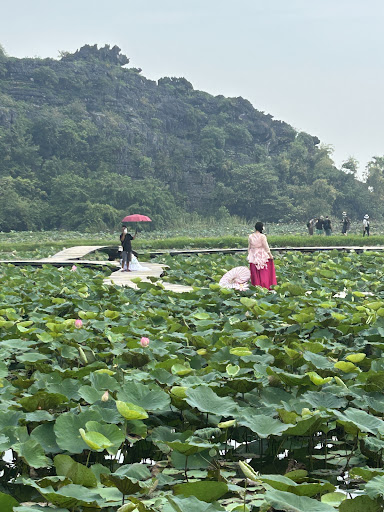 Photo from customer review