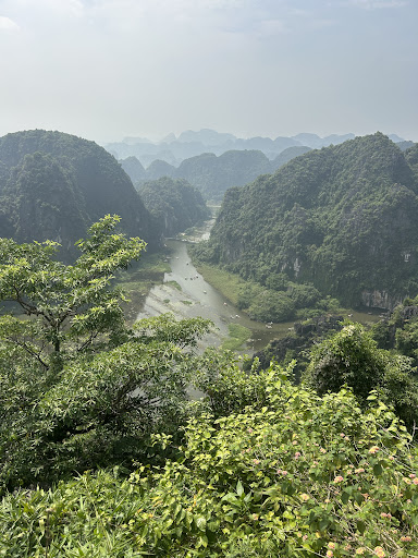 Photo from customer review