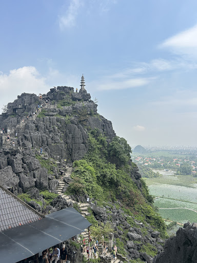 Photo from customer review