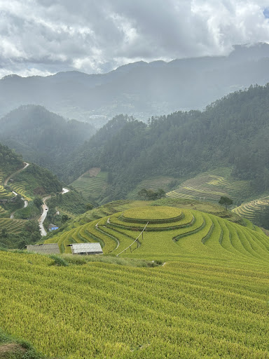 Photo from customer review