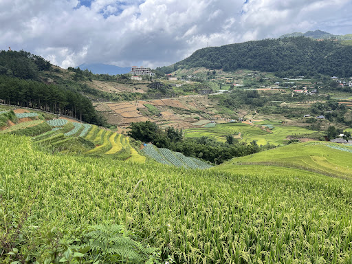 Photo from customer review