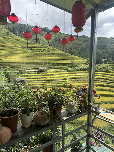 Photo from customer review