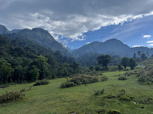 Photo from customer review