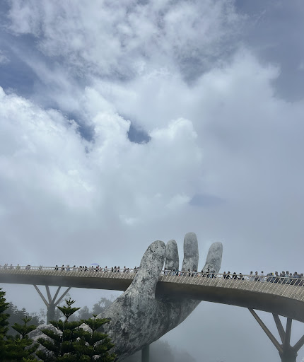 Photo from customer review