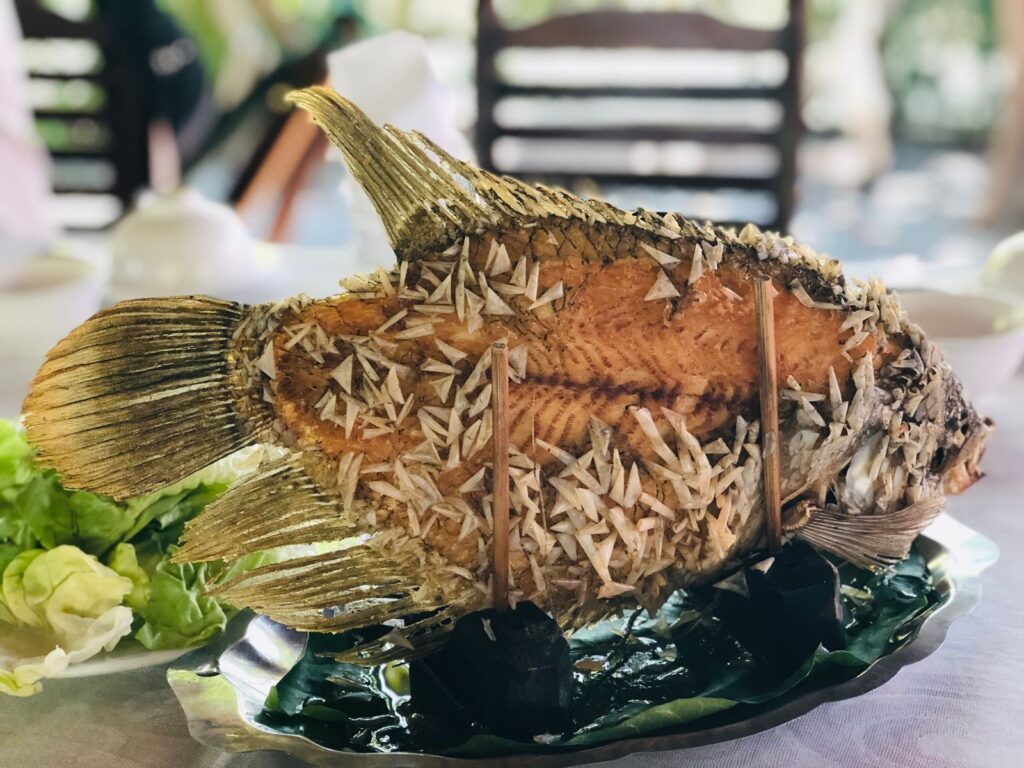 דג אוזן־פיל מטוגן ופריך – טעם עמק המקונג בוייטנאם - סוכניות נסיעות למזרח וייטנאם 24/7