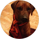 A Milrod profile picture